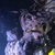 1000L marine tank shutdown