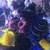 1000L marine tank shutdown