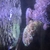 1000L marine tank shutdown