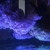 1000L marine tank shutdown