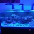 Red sea 625xxl full set up