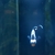 Black Ice Clownfish, pair