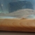 large albino male pleco