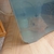 large albino male pleco