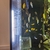 Lets of cichlids for sale some stunning venustus