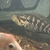 Lots of Cichlids