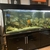 Large Aquarium 6ft x 2ft x 2ft
