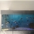 16 x Frontosa burundi cichlids prefect size for breeding mainly female