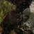 L333