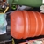 Marine Tank 6ft\2ft\2ft & Sump + Extras £150 The Lot