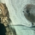 Fresh water sting rays