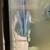 6 inch Black Arowana for sale