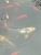 Koi Carp For Sale