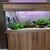 Fish tank setup