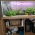 Fish tank setup
