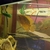 Thinning out all my Cichlids to make room for a new project