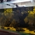 Clouded archer fish, Toxotes blythii