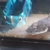 Red tail catfish about 13inch