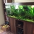 Juwel Rio 450 for sale