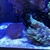 Complete Marine setup