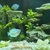Fluval Flex 57L