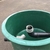 Koi Vortex Filter Chamber x13 Brushes + 3 Bags Of Plastic Media Free Local Deliv