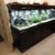 Complete 750l tank, cabinet, hood, lights, filters