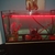 Tropical fish