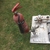 CO2 valves and equipment for high tech planted fish tank set up