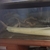 1x4ft & 1x2ft tanks with lots of pieces of root style bogwood