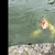 Large koi for sale