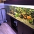 6ft fish tank for sale