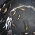 2-4 inch koi mixed varieties