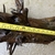 Huge piece of bog wood