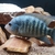 Beani cichlid (Laguna el camalote) (SOLD)