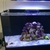 RED SEA REEFER 250