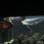 £300    5 ft full set up 22inch arowana 12 inch Oscar and loads more