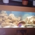 Wanted Malawi cichlids please