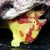 Frogfish