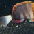 Harlequin Tusk