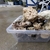 ocean rock