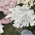 Genuine dead coral