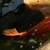 Various Quality Koi for Sale