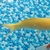 Various Quality Koi for Sale