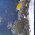 Various fish for sale due to shutting down tank