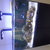 Various fish for sale due to shutting down tank