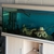 5ft x 1.5ft x 2.5ft Tank full set-up £150