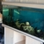 5ft x 1.5ft x 2.5ft Tank full set-up £150