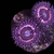 Zoas