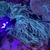 ++RARE++ ULTRA GREEN SINULARIA CORAL.